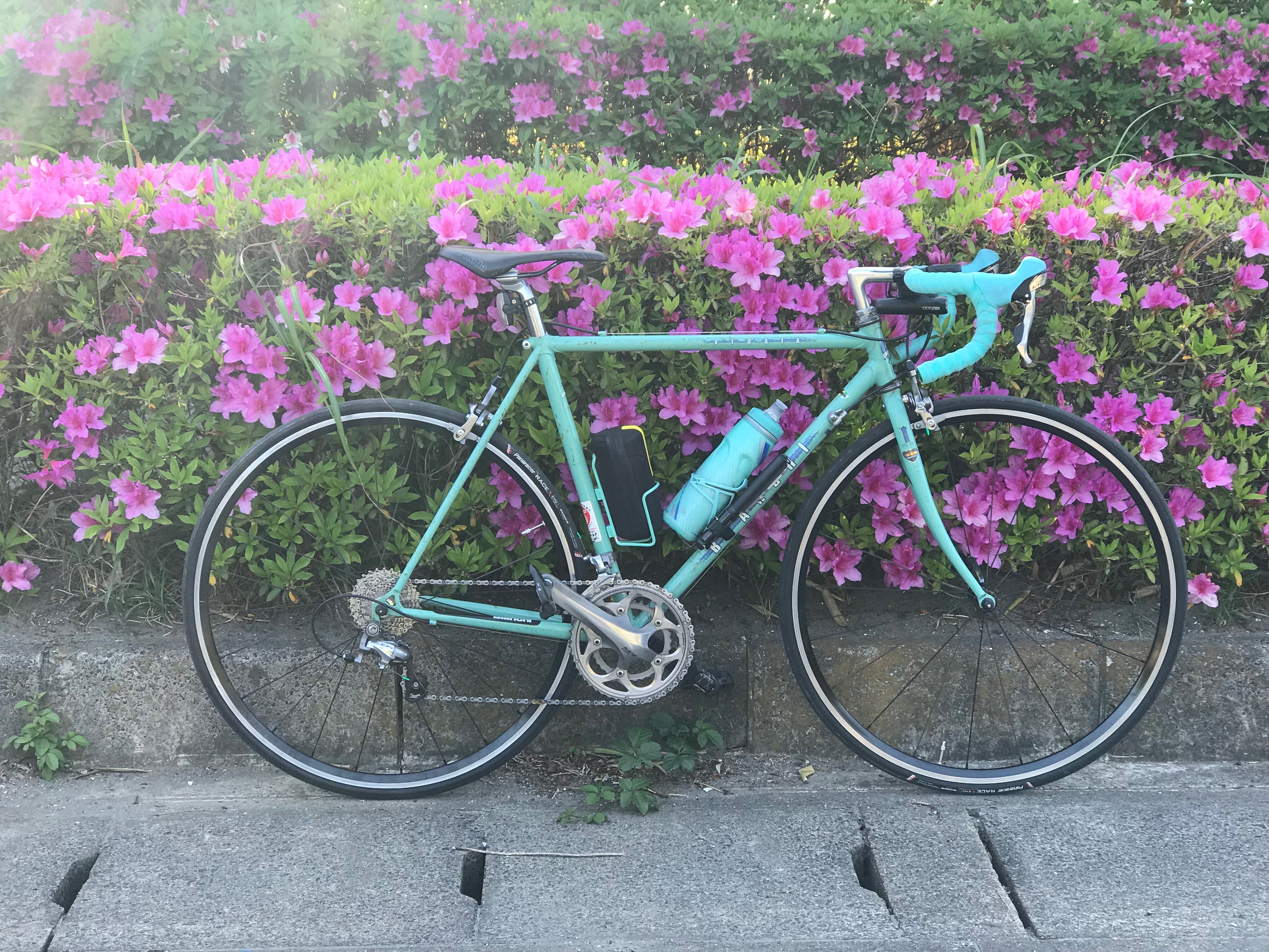 クロモリビアンキ shimatta3さんの This is my bike!! | サイクル 